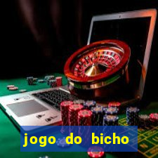 jogo do bicho banca ouro verde